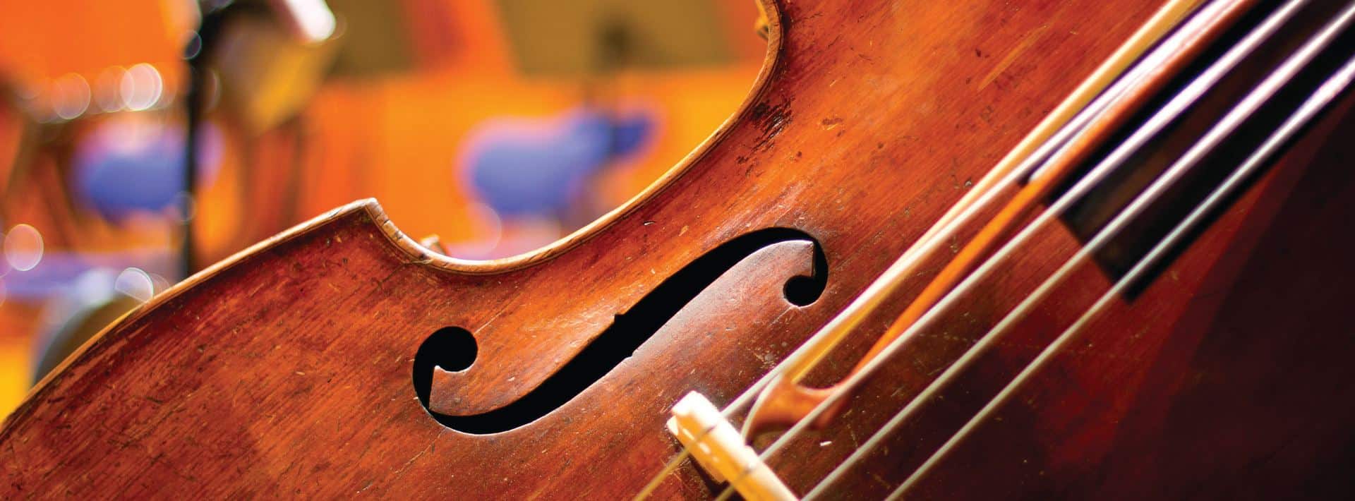 violin.jpg
