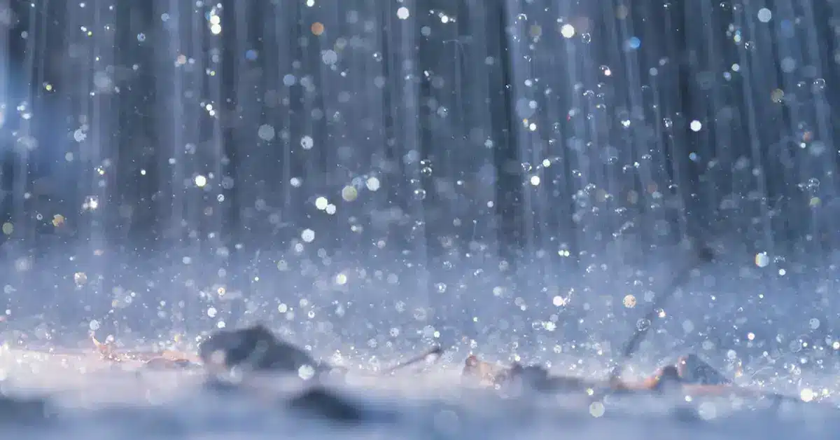 rain