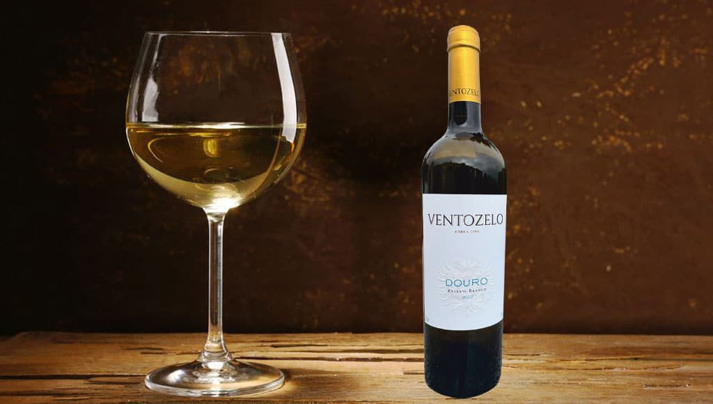 Goblet of white wine on wooden table on wooden wall background