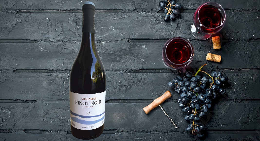 Shaping up to a very nice Pinot