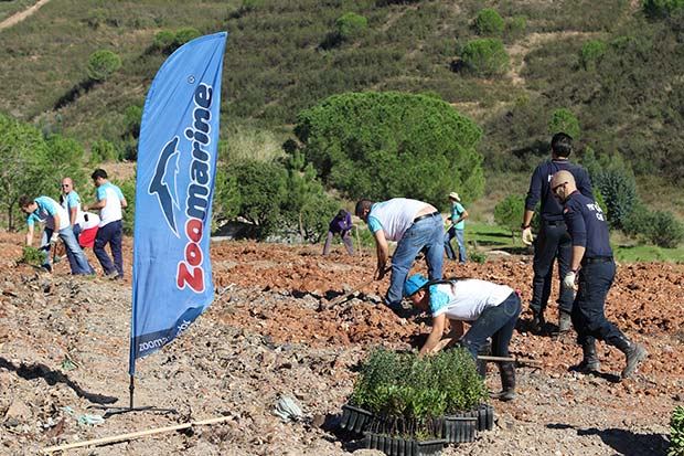 zoomarine-replanting-14.jpg