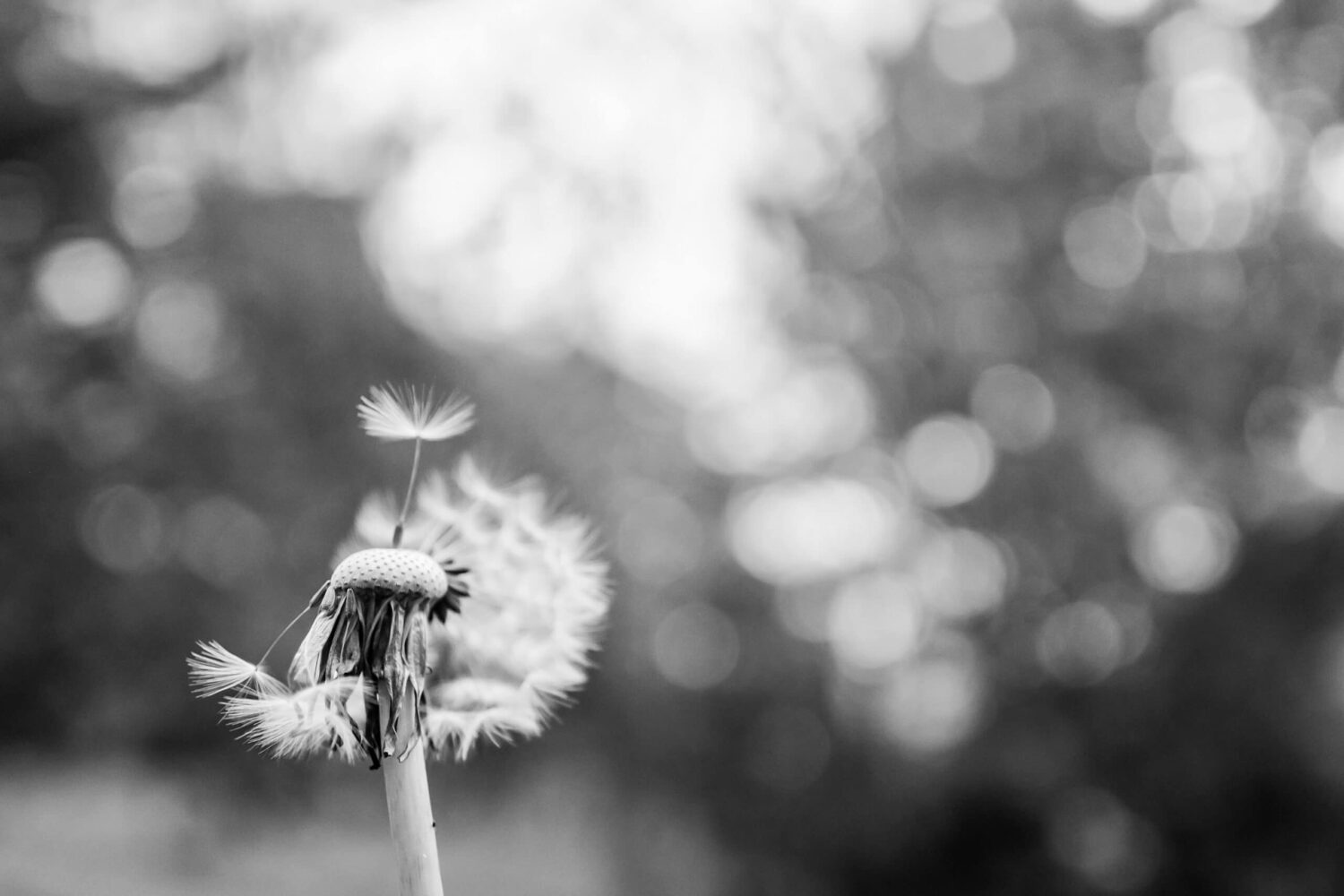 Bem-Vindo - unsplash