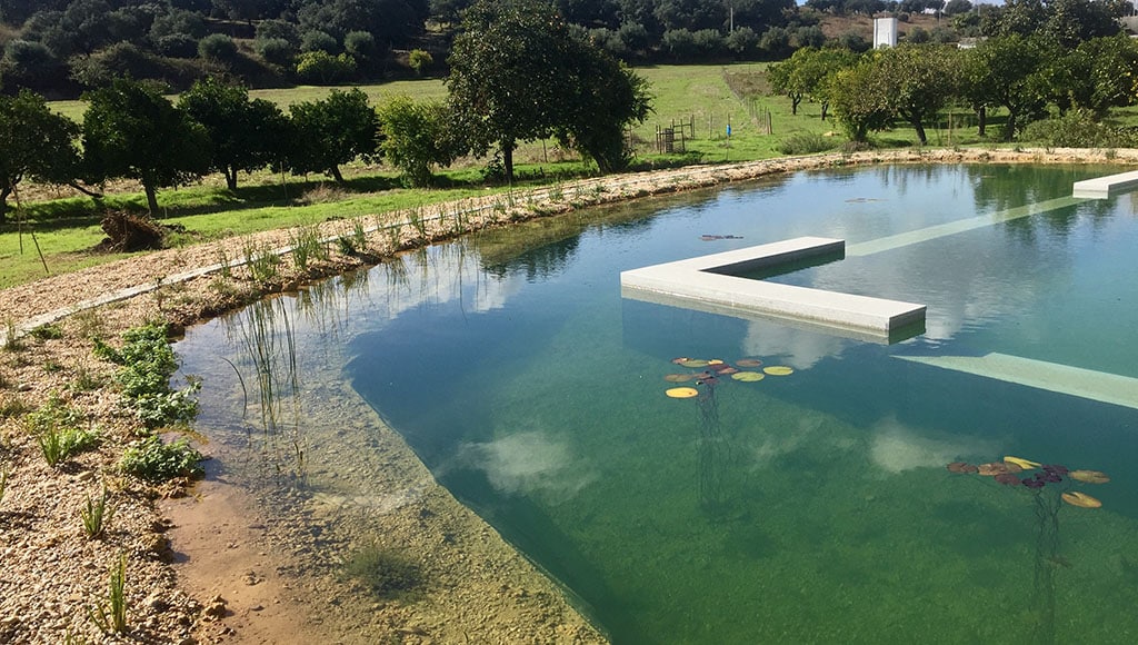 Building a bio pool: a seven-year journey