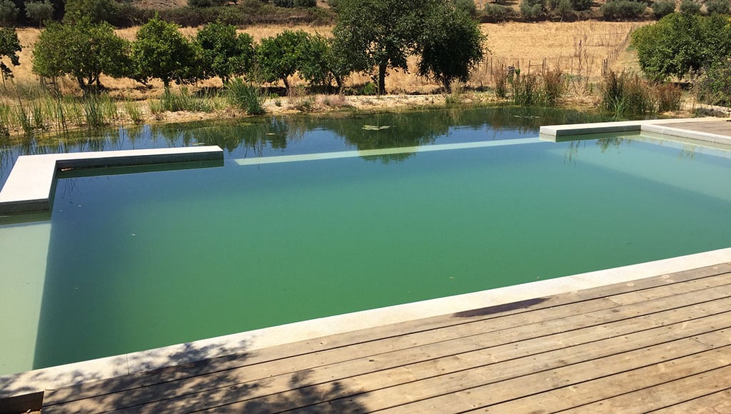 Building a bio pool: a seven-year journey