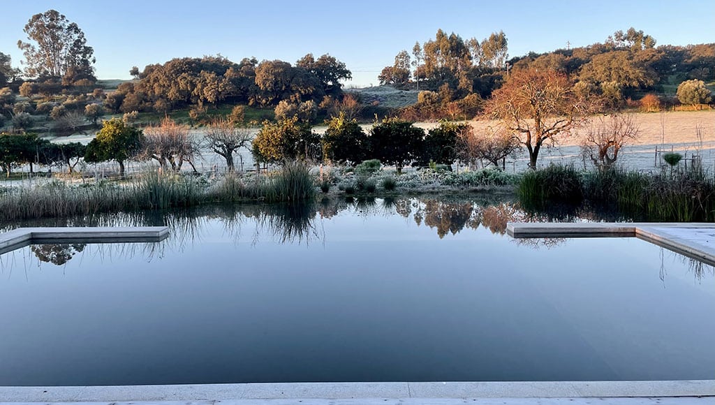 Building a bio pool: a seven-year journey