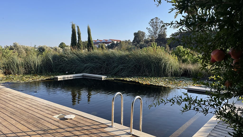 Building a bio pool: a seven-year journey