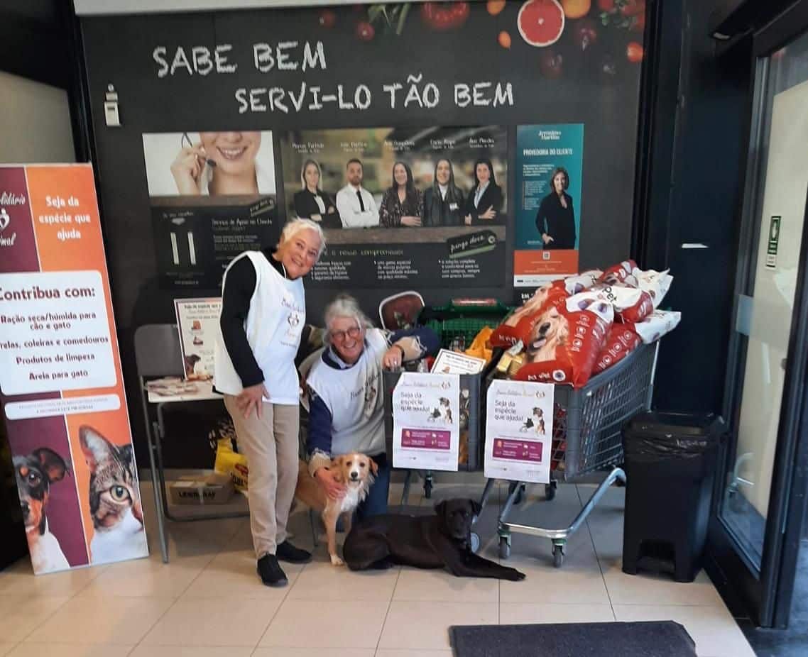 Cadela Carlota - Banco Solidário Animal (2)