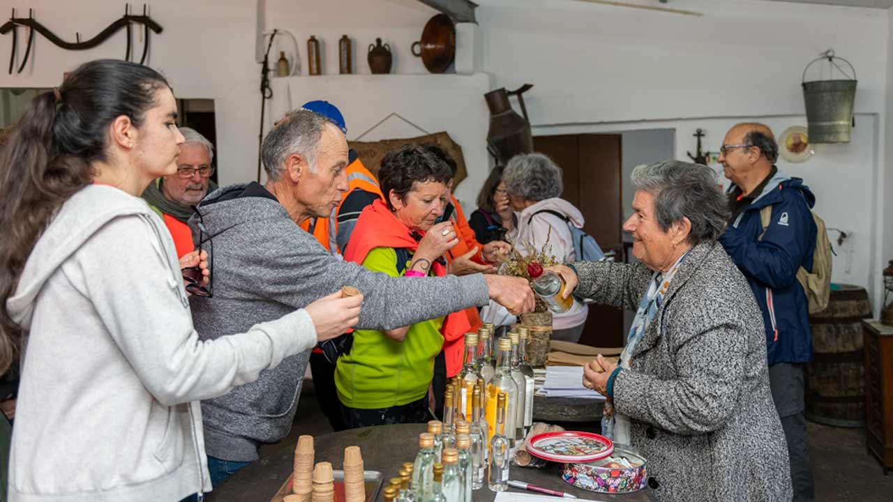 Discover Medronho distilleries on March 8