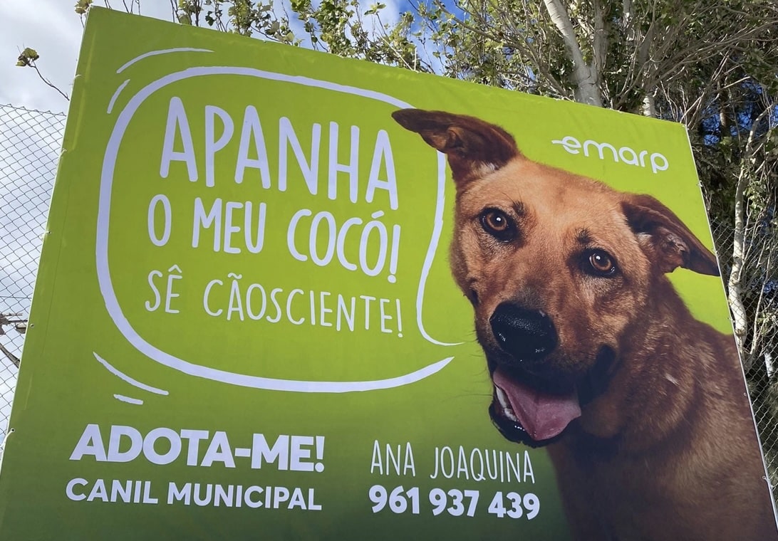 Portimão launches responsible pet adoption and urban cleaning campaign
