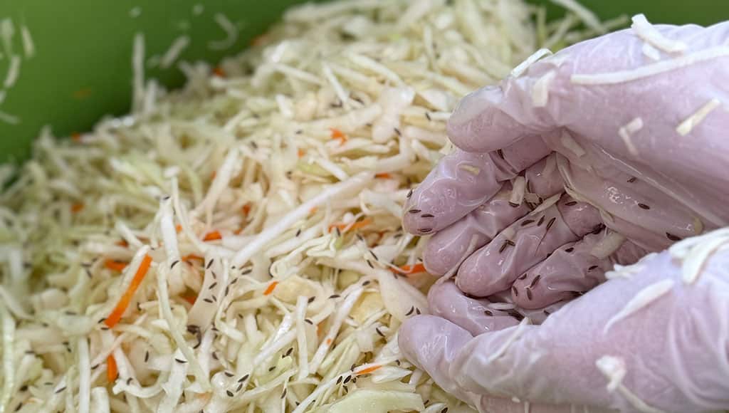 Preparing sauerkraut|Ready to try some sauerkraut