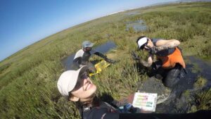 New initiative encourages residents of Ria Formosa to become scientists for a day