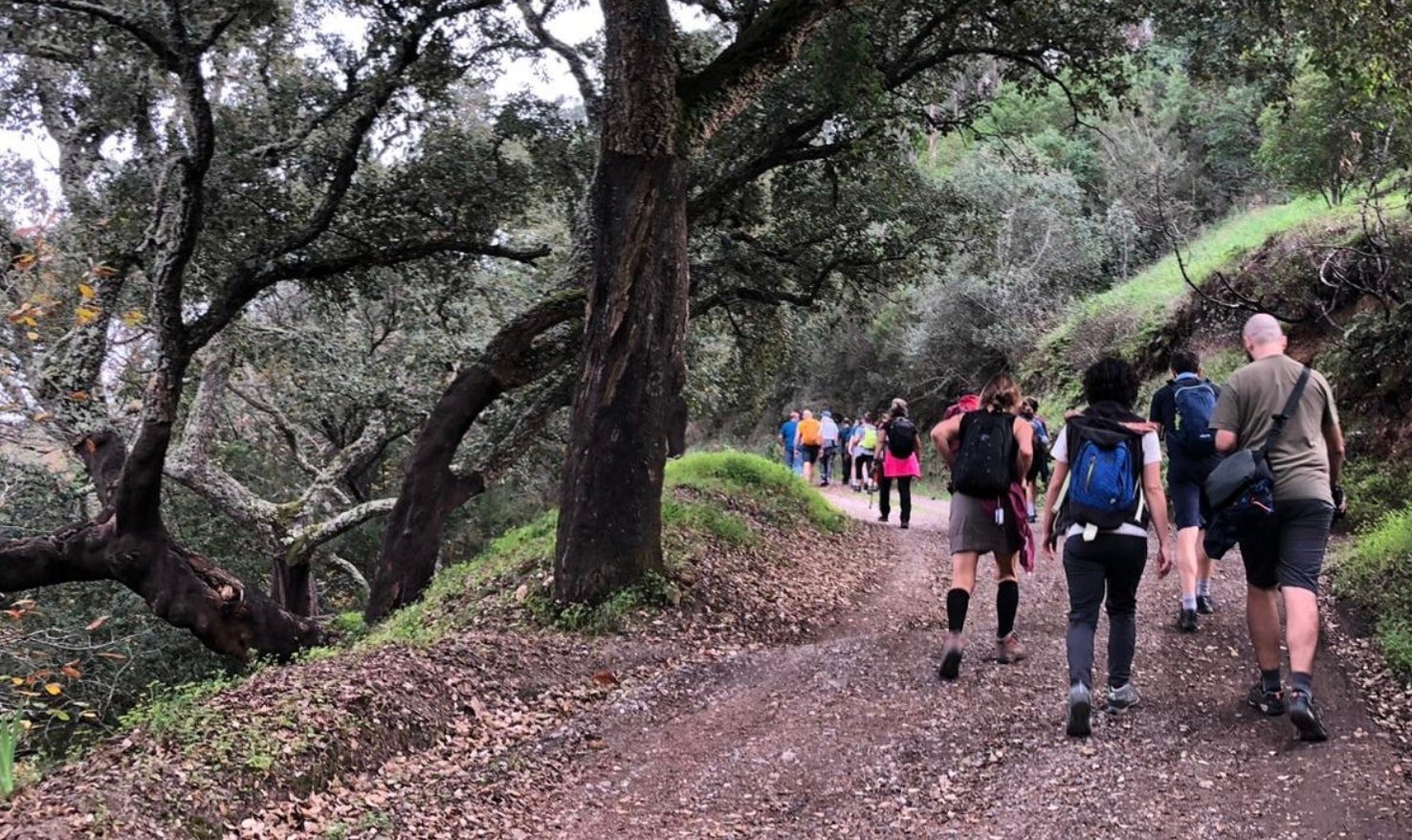 Santa Bárbara de Nexe Walking Festival