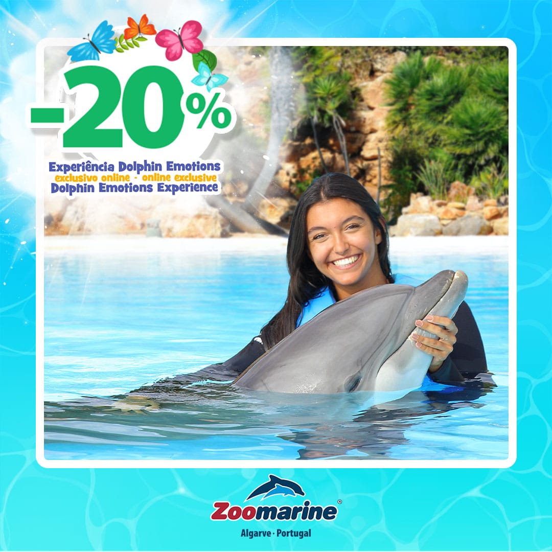 Zoomarine Dophin Experience discounted tickets