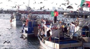 Fishermen push for further changes to Portugal’s offshore wind farm plan