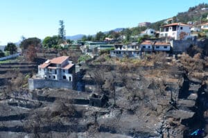 How to protect your property from wildfires
