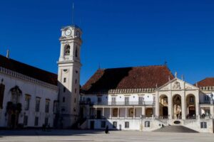 Coimbra researchers produce algae-based products to fight Covid-19