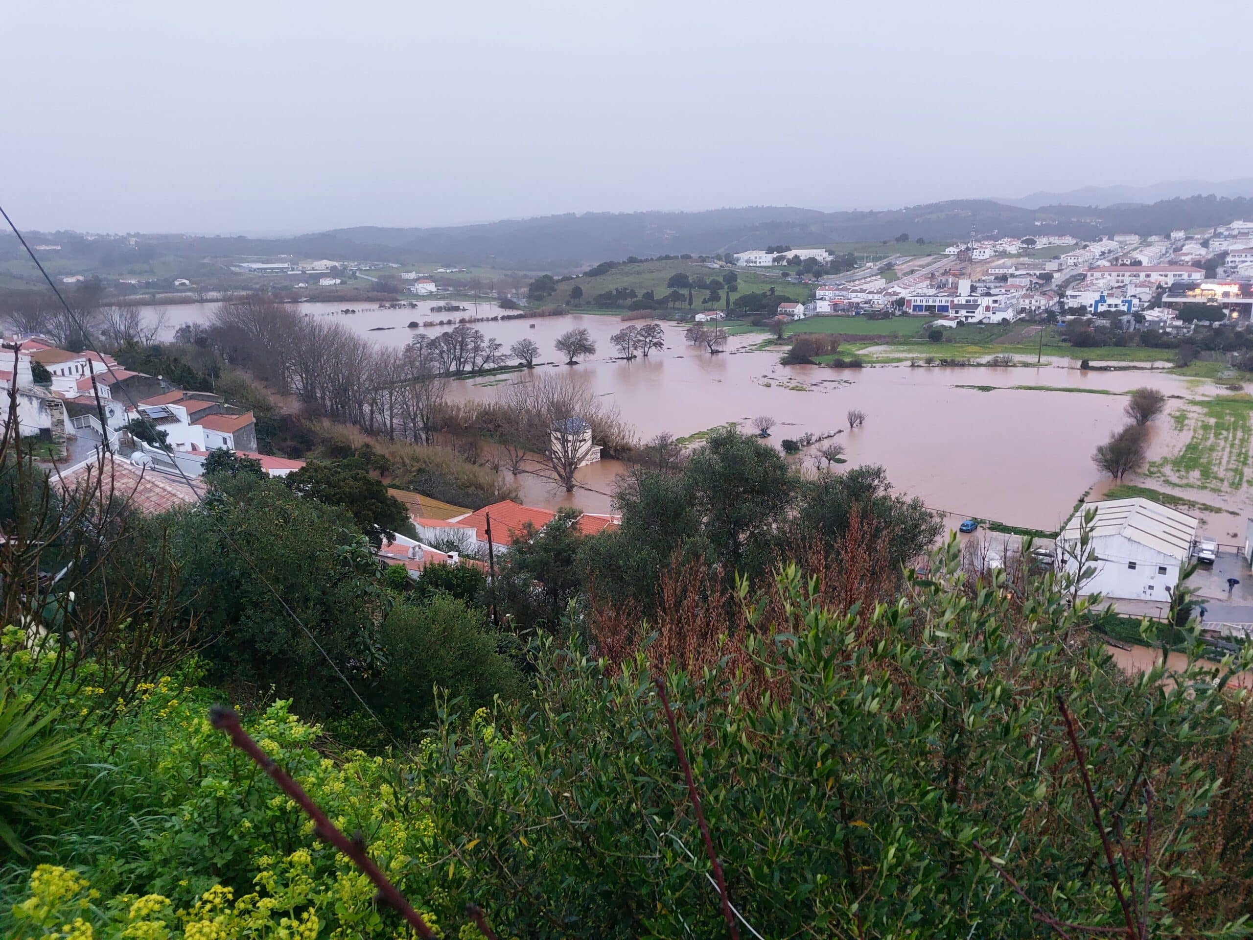 Waterlogged fields of sweet potato in Aljezur