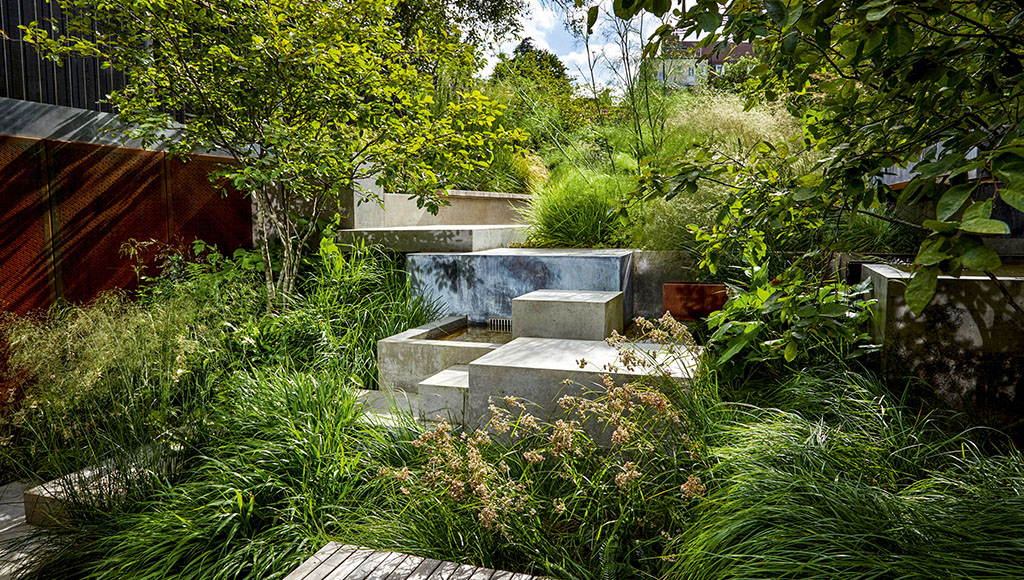Small modern garden foliage