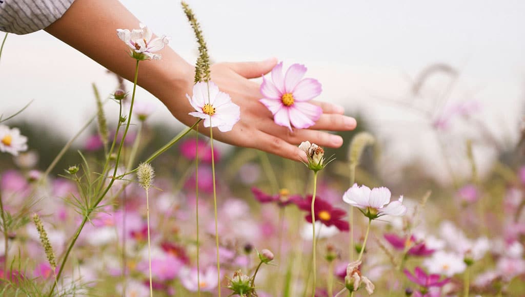 Spring (Suhyeon-Choi-unsplash)