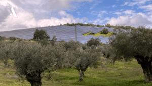 Third massive solar farm planned for Évora unites citizens in protest