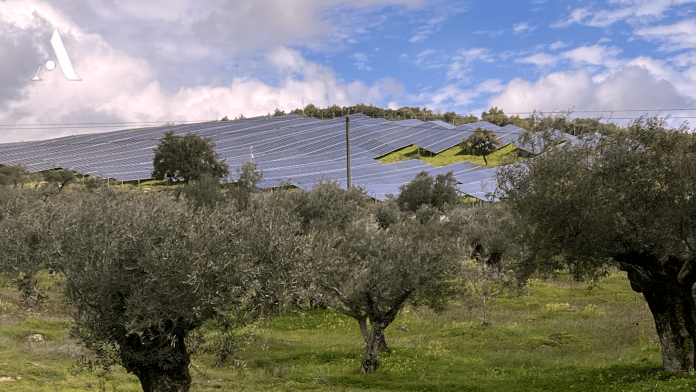 President of the Region's tourism entity, José Manuel Santos, has already expressed his concern that too much of the rolling rural area is being covered in solar panels