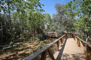 Portimão’s Parque da Juventude reopens after major makeover