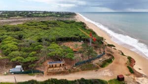 Construction at protected nature reserve in Loulé sparks outrage