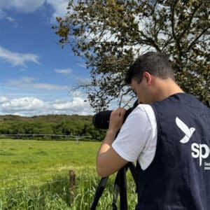 Portugal’s bird sanctuary network takes flight