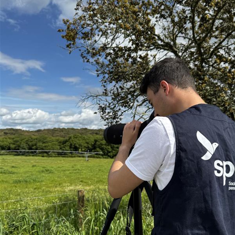 Portugal’s bird sanctuary network takes flight