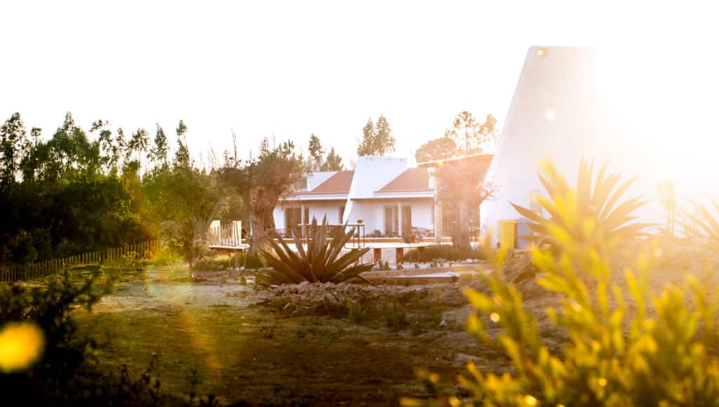 Sunny days: the large chimneys were inspired by traditional Alentejo architecture