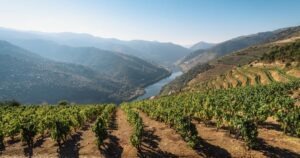 Government’s water strategy denounced as ‘ecological, social disaster’ 