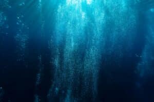 Portugal makes history as first country to ban deep-sea mining