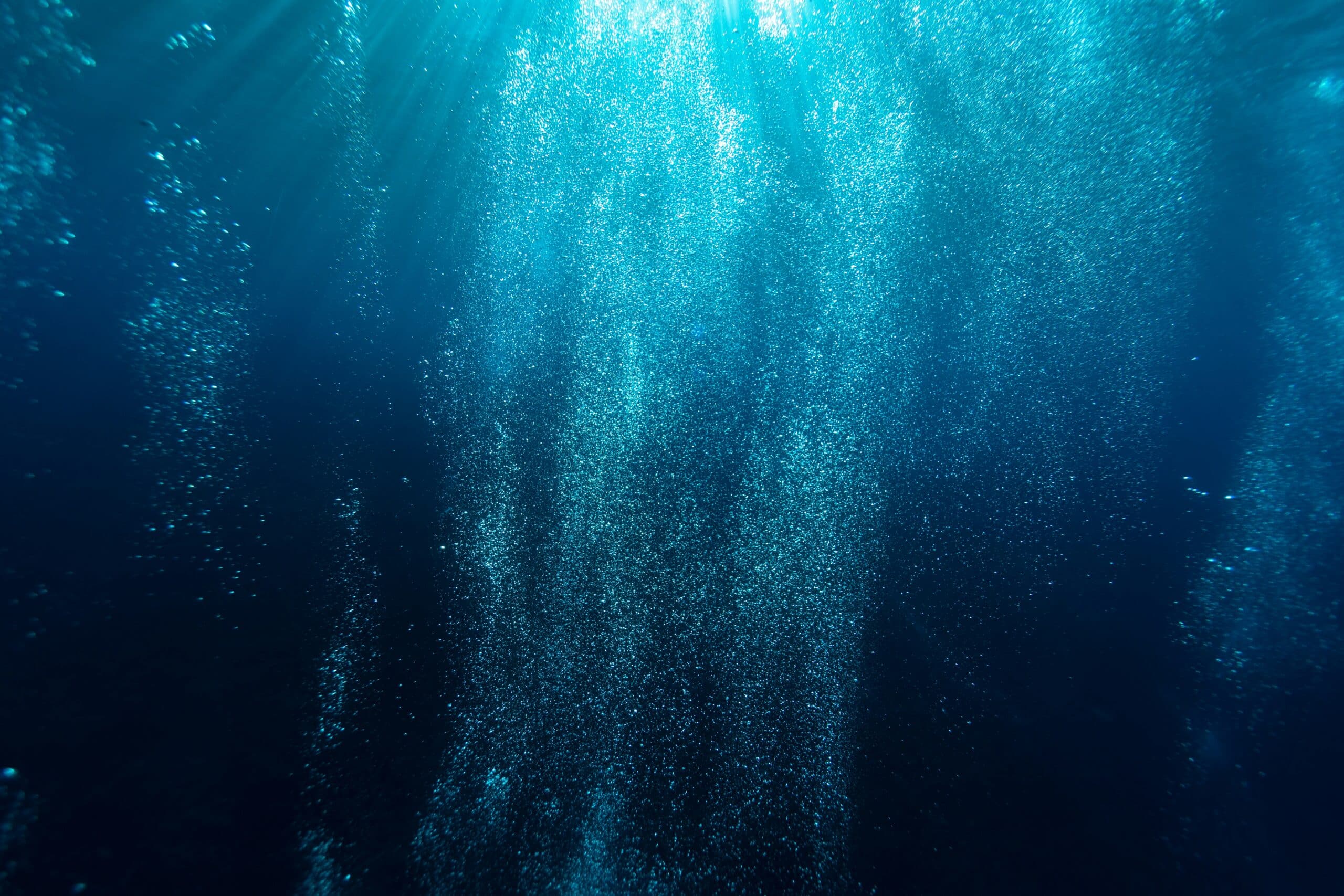 Portugal makes history as first country to ban deep-sea mining