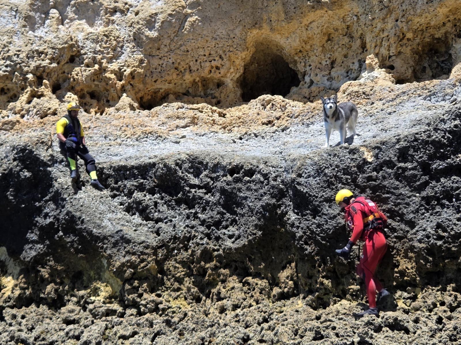Dog rescued from Alfanzina cliff in Carvoeiro