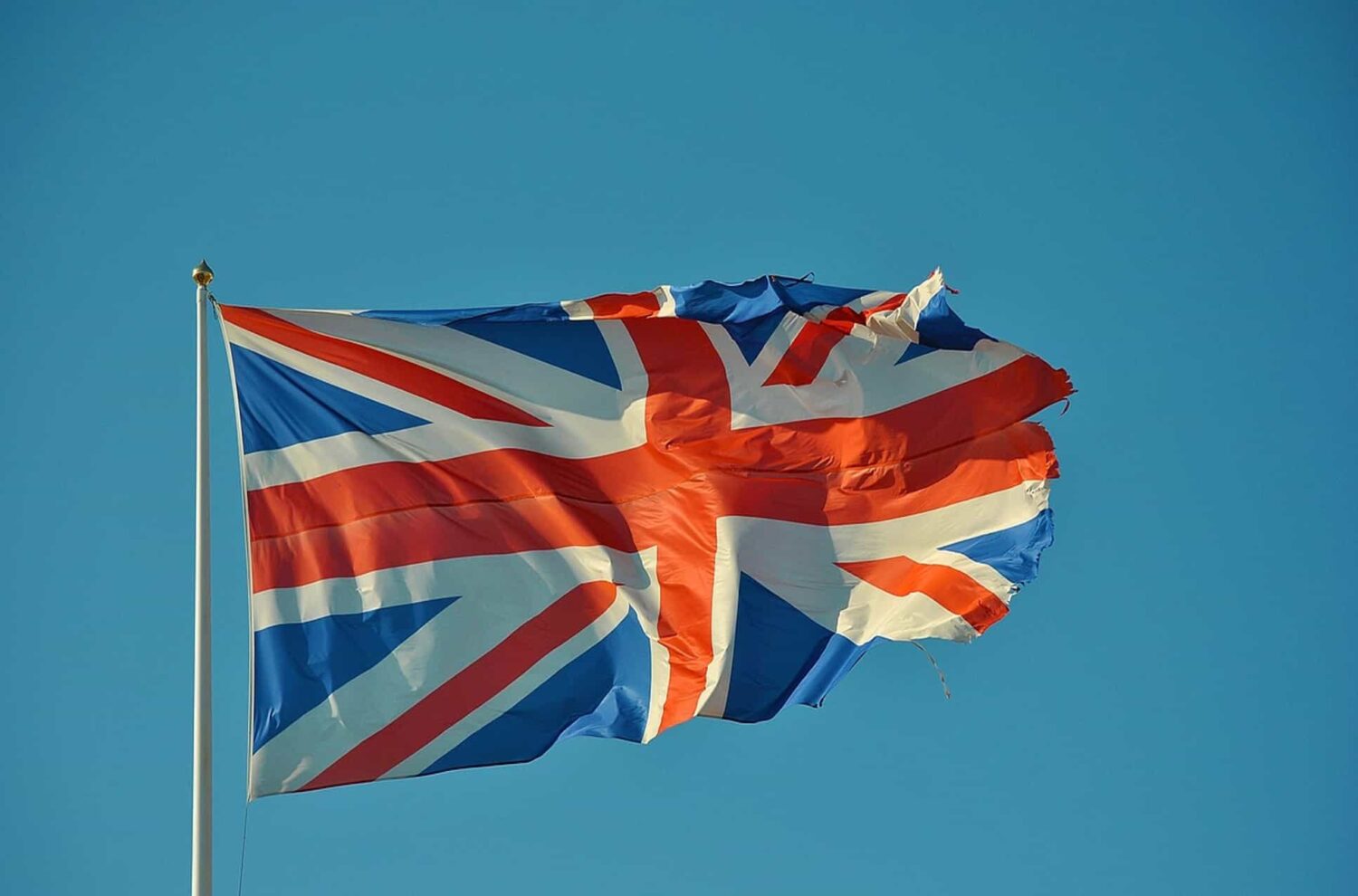 Bonus gambling article