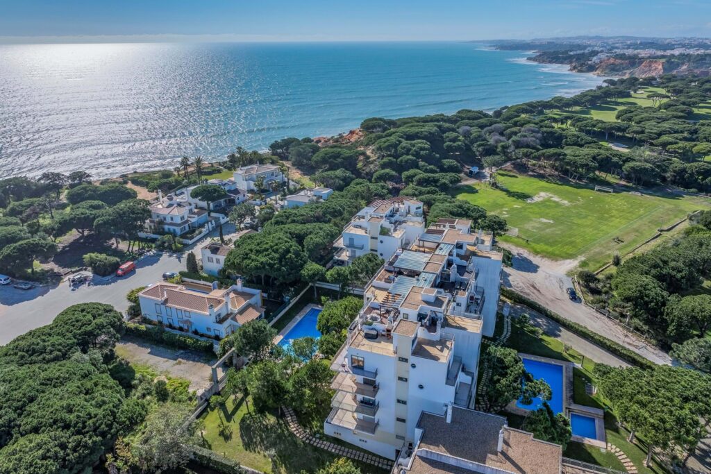 Cerro Novo CN10459 (2)