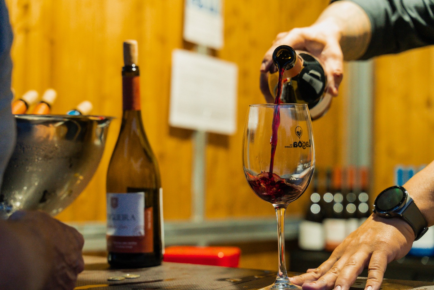 Lagoa Wine Show brings Portugal’s best nectars to Algarve
