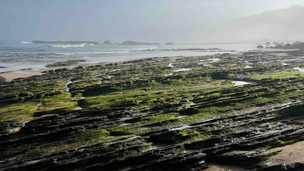 Escape for a day: Monte Clérigo beach rocks...as do so many others on our secret coastline