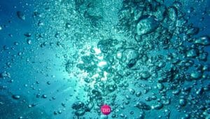 Revolutionising Algarve’s water – ÁguaKing’s successful softener solution
