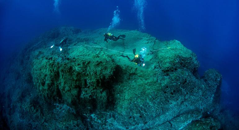 Government ratifies UN High Seas Treaty - almost two years after its adoption
