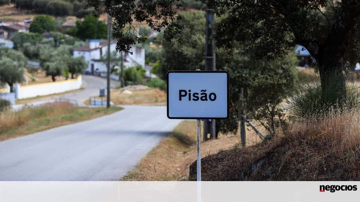 Among many negative impacts of the dam project is that it implies the felling of "hundreds of hectares of protected cork oak trees". Image: Nuno Veiga/ Lusa