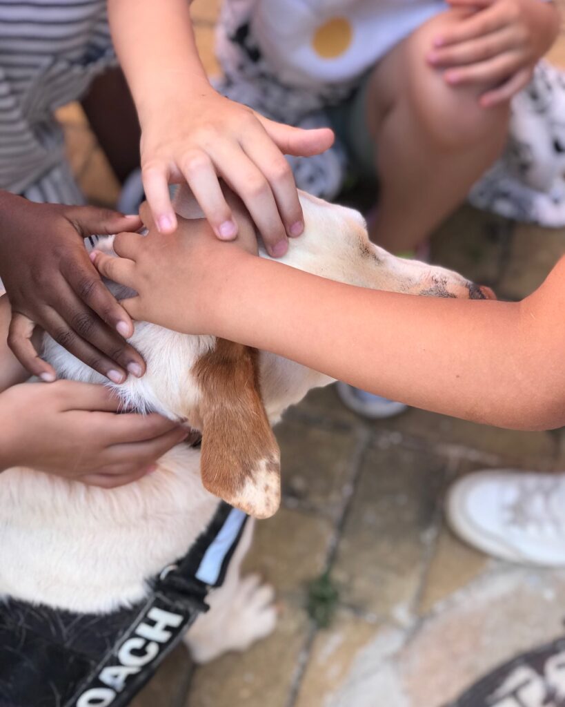 A big thank you to Gil Eanes Secondary School