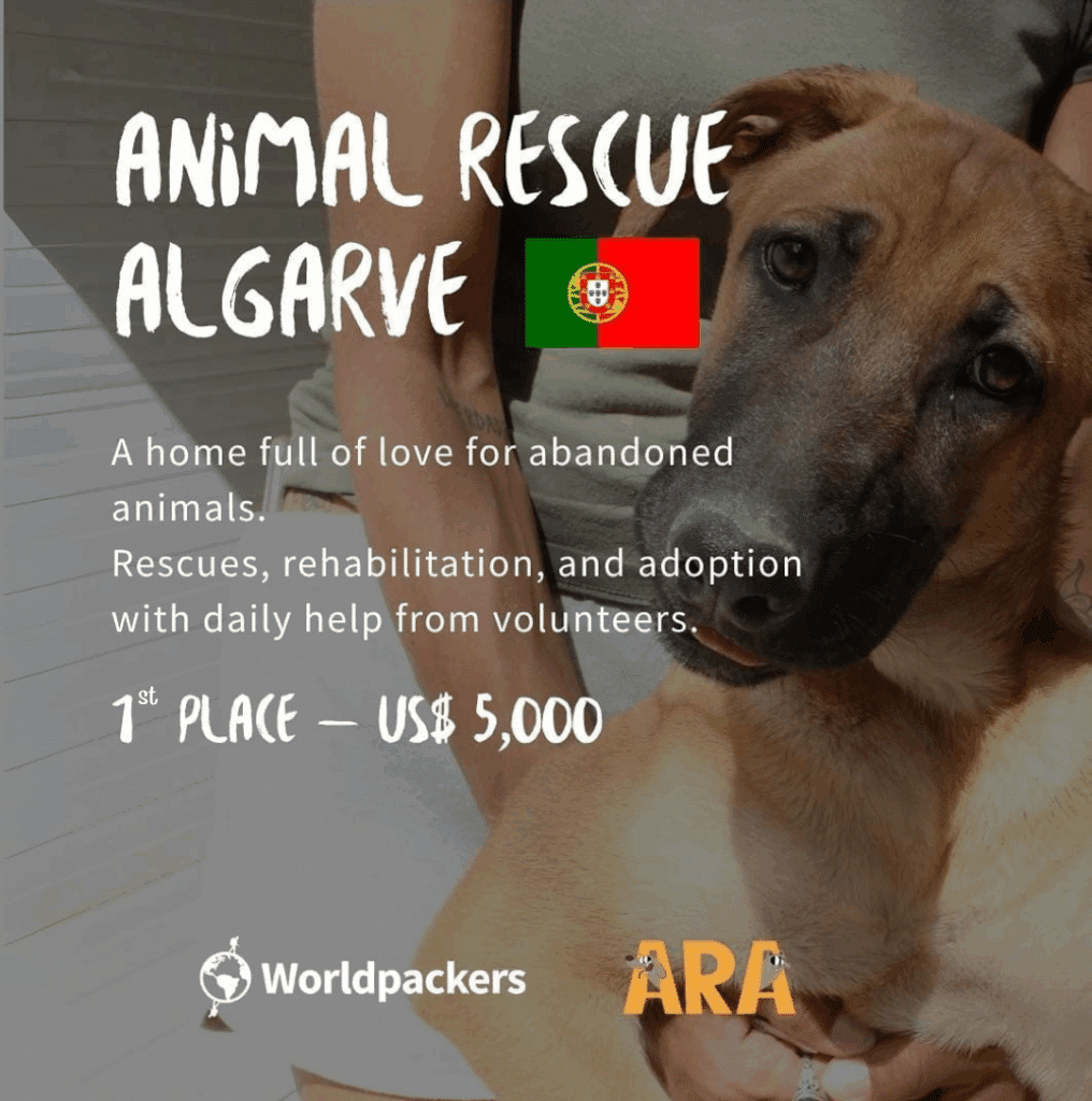 ARA Worldpackers 1st Prize