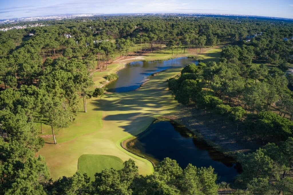 Aroeira_0542_v.01 Large