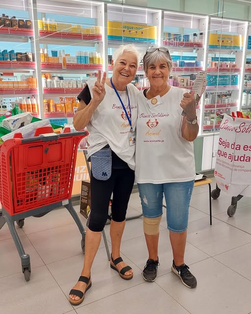 Cadela Carlota volunteers