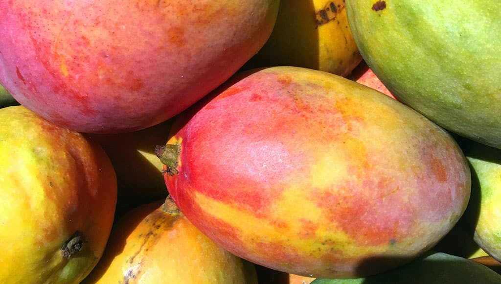 Mangoes (Jacqueline Brandwayn-Unsplash)