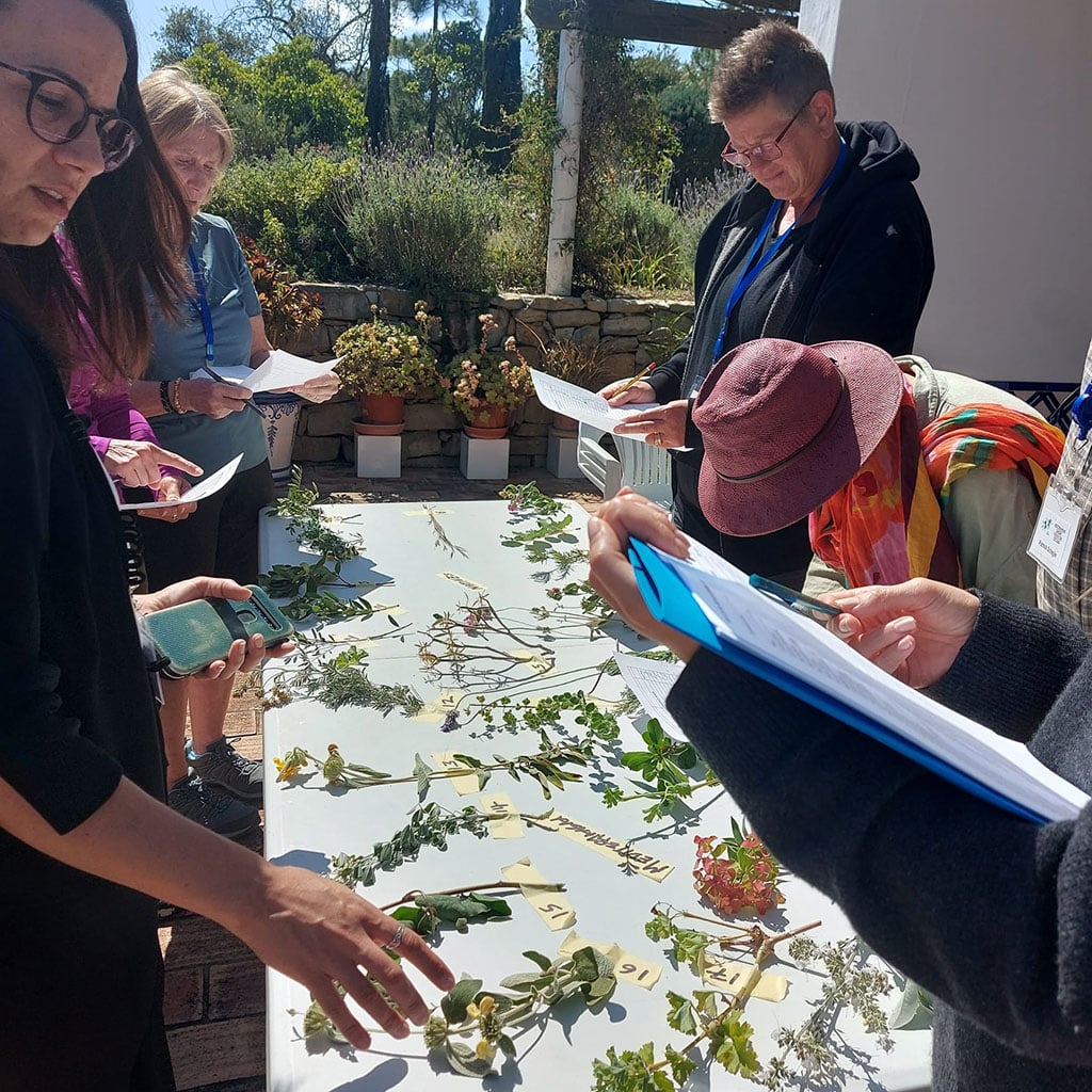 May training plant quiz