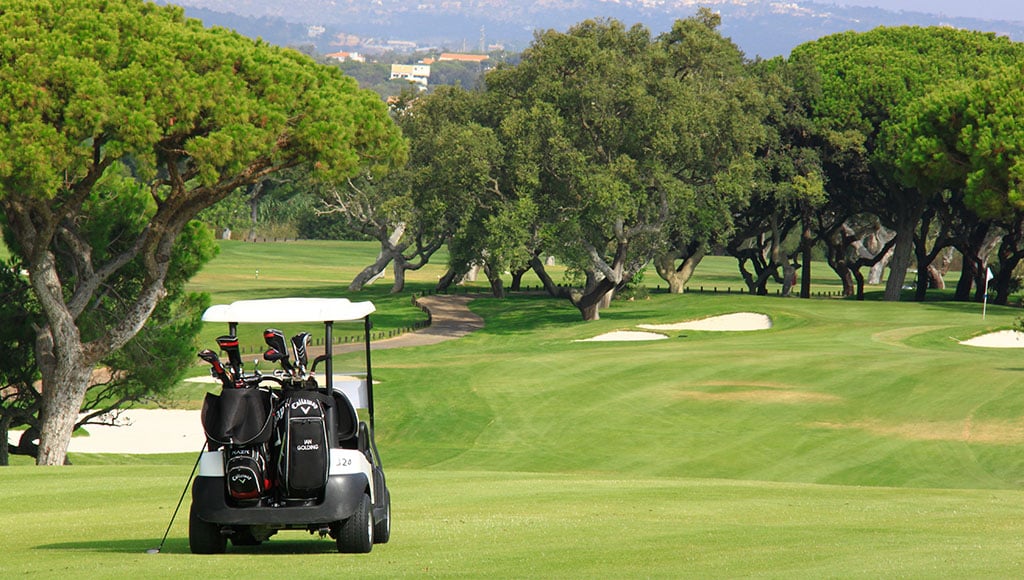 Why Golden Triangle villas are blue-chip winners