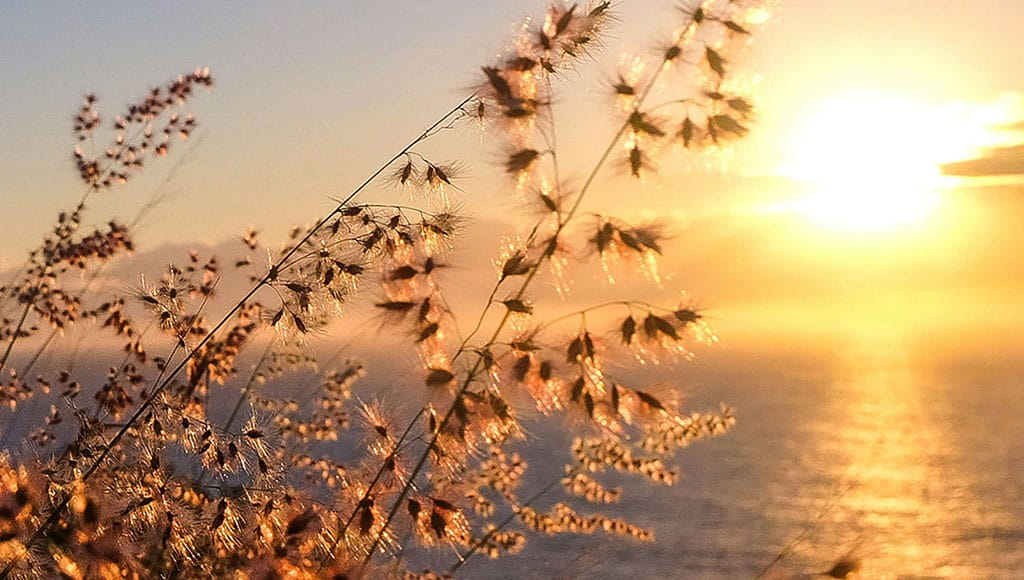 Photo: AGUSTIN GUNAWAN/UNSPLASH