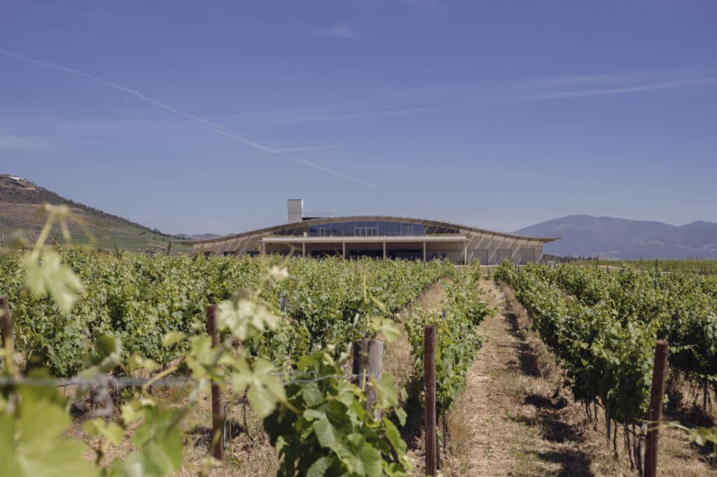 Symington - Adega do Ataíde